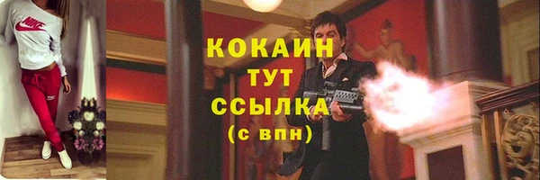 прущие грибы Лиски