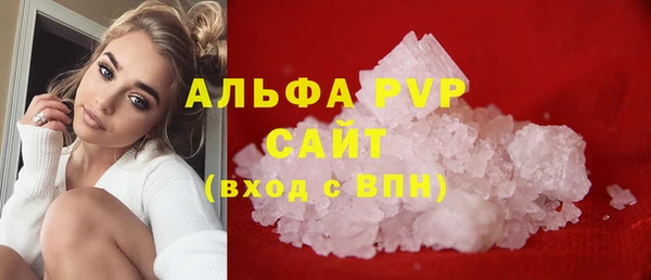 прущие грибы Лиски