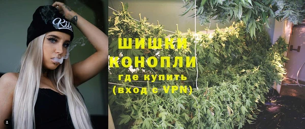 прущие грибы Лиски